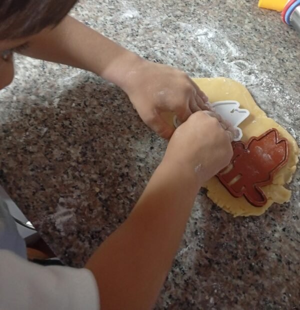 IMG-20250612-WA0018 Moldes para cortar