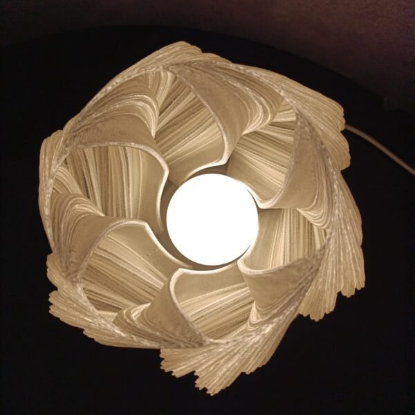 IMG-20250622-WA0033 SINUOSA