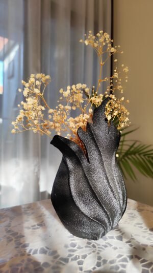 IMG_20250612_160253 ASTEROID